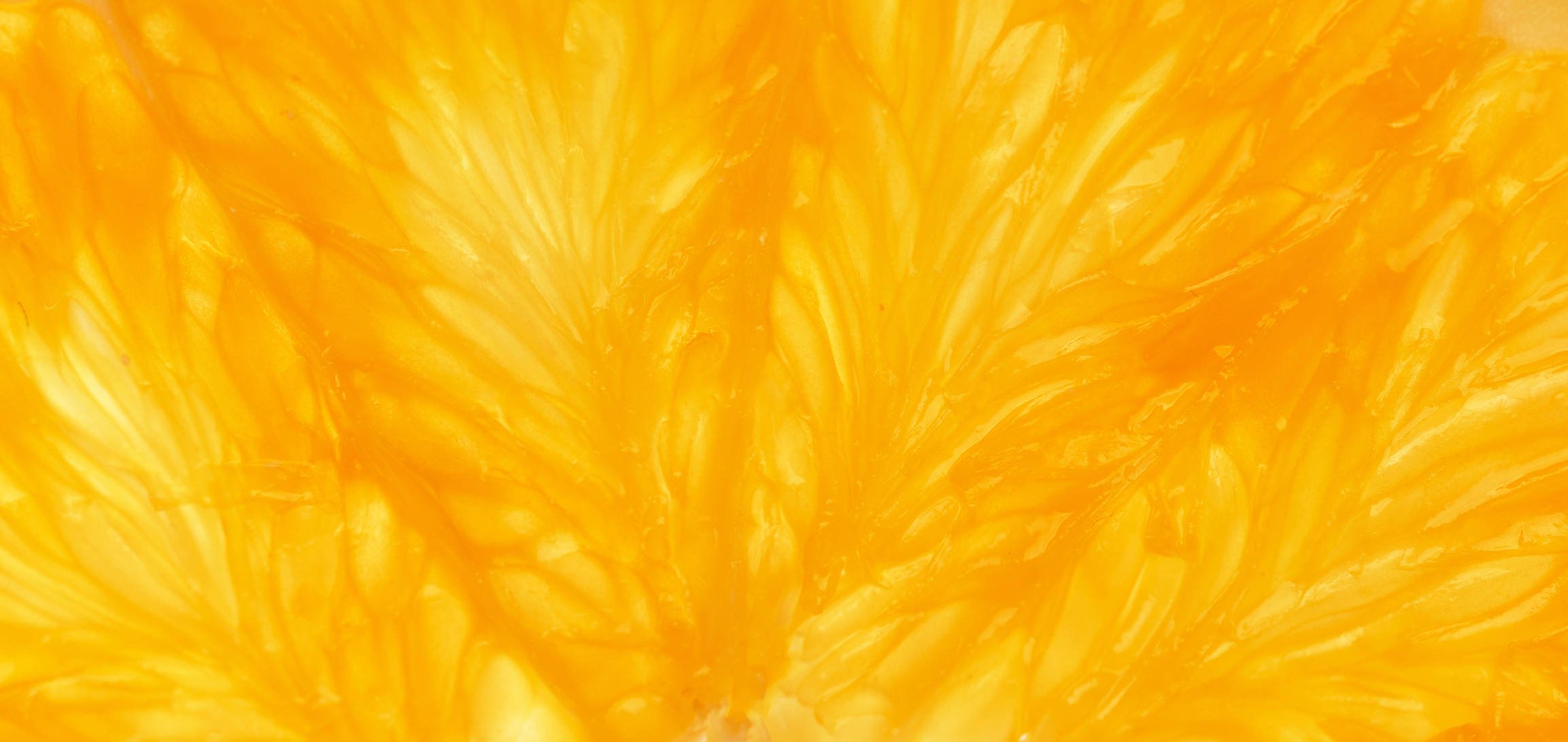 Orange slice macro texture.